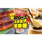 スタミナセット定期便 全3回 うなぎ 豚肉