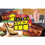 スタミナセット定期便 全4回