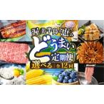 ふるさと納税 【定期便】どうまい定期便 12回 おまかせコース 愛知県田原市