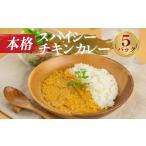 本格 スパイシー チキンカレー 5袋