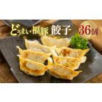 5月- 福豚餃子