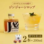 ジンジャーシロップ 2本