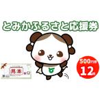 入場券 優待券 20084 とみかふるさと応援券
