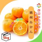 温州みかん 5kg