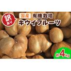 ふるさと納税 [訳あり] 有機栽培キウイフルーツ (約4kg)[黒澤農園]｜数量限定 期間限定 キウイ ヘイワード 果物 果実 フルーツ 農家直送 産地直.. 群馬県甘楽町