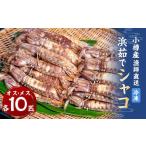 小樽産 漁師直送 浜茹で シャコ 冷凍 オス10匹 メス10匹