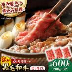 切り落とし 600g