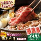 切り落とし 600g
