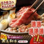 切り落とし 1.0kg