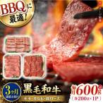 和牛 バーベキュー セット 肩ロース カルビ