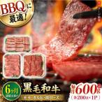 和牛 バーベキュー セット 肩ロース カルビ
