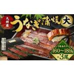 ショッピングふるさと納税 うなぎ ふるさと納税 九州産 うなぎ 蒲焼 大 3尾 (1尾あたり160〜189g) 福岡県北九州市