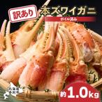 訳あり ズワイガニ 爪 1kg