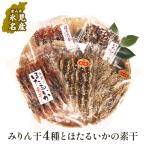 氷見名産 みりん干4種とほたるいかの素干し
