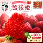 越後姫 中粒いちご 約200g×2P