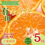 和歌山有田みかん約5kg 2L 3Lサイズ