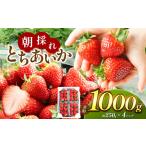 ふるさと納税 【先行予約】甘く熟した完熟いちご！朝採れとちあいか たっぷり1,000g 真岡市 栃木県 送料無料 栃木県真岡市