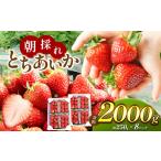 ふるさと納税 【2026年先行予約】甘く熟した完熟いちご!朝採れとちあいか たっぷり2,000g 真岡市 栃木県 送料無料 栃木県真岡市