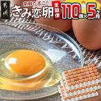 きみ恋卵 110個定期便 5ヶ月 赤卵 Mサイズ 110個