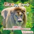 入場券 優待券 那須サファリパークペア入園券セット