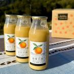 みかん甘酒 1ヶ月分 16本入り