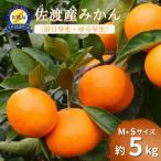 みかん 約5kg