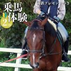 体験乗馬 蹄鉄 つき 乗馬 体験 運動 ふれあい