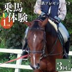 乗馬教室 蹄鉄 つき 乗馬 体験 運動 ふれあい