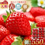 平群の古都華 いちご 4L
