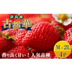 ふるさと納税 平群の古都華 いちご (M〜 2Lサイズ) 4パック | 果物 くだもの フルーツ 苺 イチゴ いちご ストロベリー 古都華 ことか 旬の品種.. 奈良県平群町