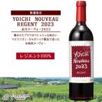 ヨイチヌーヴォー レジェント 2023 ワイン