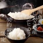 契約栽培 南魚沼しおざわ産コシヒカリ