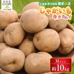 キタカムイ 10kg