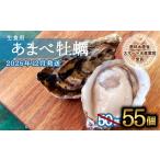 ふるさと納税 先行予約 あまべ牡蠣 55個 牡蠣 シングルシード 生食用 殻付き かき カキ オイスター 生ガキ 生牡蠣 生がき 生かき ギフト 貝 旨味.. 徳島県海陽町