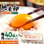 最高級 卵 地養卵 Mサイズ 40個×6回定期便