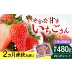いちごさん 240g×2パック