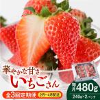 いちごさん 240g×2パック