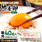 最高級 卵 地養卵 Mサイズ 40個×12回定期
