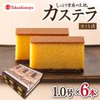 カステラ 高島屋選定品 松翁軒 1.0号×6本