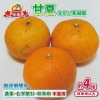 甘夏 4kg
