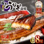 2083-1 大隅産 うなぎ 蒲焼 8尾