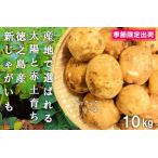~これからは産地で選びたくなる~徳之島産新じゃがいも 10kg