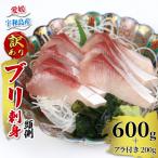 訳あり 鰤 800g