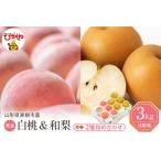 ふるさと納税 【2026年】東根市産 白桃（品種おまかせ）＆和梨 詰め合わせ 3kg 秀品 化粧箱入り 山形県 東根市 hi027-240　先行予約 令和8年産 .. 山形県東根市