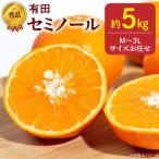 秀品 セミノール 和歌山 有田 M~3Lサイズ