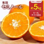 訳あり セミノール 和歌山 有田 S~4Lサイズ混合