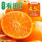 ふるさと納税 DZ6218_【2026年先行予約】ご家庭用 有田みかん 和歌山 大玉(2L,3Lサイズ混合) 約4.5kg 和歌山県湯浅町