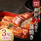うなぎ 蒲焼