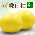 八代特産 晩白柚 秀Lサイズ 2玉