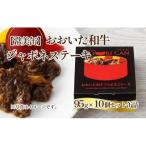 おおいた和牛 ジャポネステーキ 10個セット